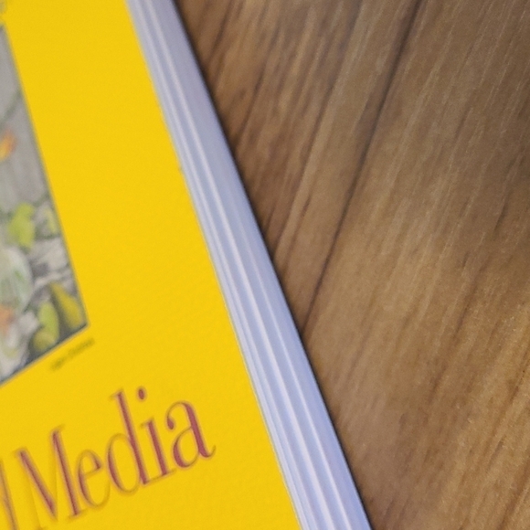 Strathmore Mixed Media 48 sheet 300 series Book - Picture 3 of 3